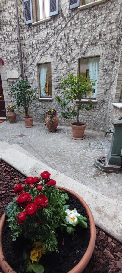 Domus Fontis Pescaia Gasthof
