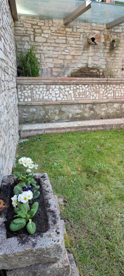Domus Fontis Pescaia Gasthof *